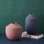 Fashion Frosted Textures Nordic Style Hotel Ornament Color Ceramic Vase For Showroom