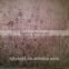 Short Hair Velvet Burnout And Bonded TC Fabric For Sofa, Home Textile