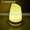 bar use colorful plastic led table lamp