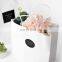 Wholesale Small Sample Custom White Elegant Gift Packaging Paper Bag Small Size
