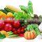 Automatic ozone vegetable washing machine auto fruit and vegetable air bubble washer with ozone cheap price for sale