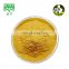 bacopa monnieri extract powder  20% - 50% Bacosides UV HPLC