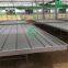 Agricultural Planting Rolling Bench Ebb and Flow Tray Tobacco Seedbed in Greenhouse