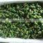 Betel nut/Natural Raw Dried Betel Nuts/ betel areca nut/vietnam betel nut