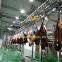 High Efficiency Automatic Halal Cattle Slaughtering Equipment Cattle Slaughter Production Line