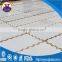 The synthetic ice rink