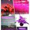 Hangzhou Factory 400w LED Grow Light For Plants,LED Grow Lighting