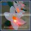 Advertising LED 10m Inflatables Flowers for Parties Wedding Wholesale