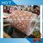 High quality prepainted galvanized steel coils / PPGI