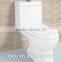 Ceramic Sanitary Toilet for Bathroom