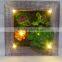 Interior Unique Design Retro Style China Factory Wholesale Artificial Lighting Succulent Photo Frame for Sale