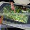 10 touch points 32 inch interactive touch foil film
