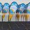 Feather Portable Flag Banner