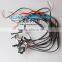 Factory sale price Cool LED Devil eyes with plastic bracket for 2.5 inch MINIH1 projector lens