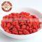 organic goji berry Red Goji(Medlar) wolfberry jinghe goji berries