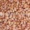 Shell and Un shell Peanuts