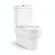 China Sanitary Ware Modern Water Closet Price