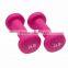 Vinyl Dumbbell