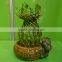 vase shape lucky bamboo air bonsai tree dracaena sanderiana indoor ornamental aquatic water plants nursery garden decoration
