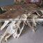 Console Table Made From Suar Woor Root