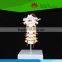 Most popular Cervical spinal column