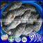 Tropicana food and beverages black tilapia fish farming