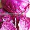 Price For Red Cabbage/fresh Cabbage/Chinese Red Cabbage For Hot Selling