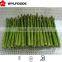 price of frozen green Asparagus green 2015 china