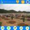 Ts irrigation company drip irrigation for trees