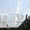 HDPE Agriculture Vineyard Plastic Apple Tree Anti Hail Net for Plantations