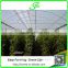 High tunnel greenhouse single span green houses