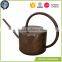 Cheap tin indoor metal watering sprinkling can