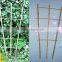 Bamboo poles flower trellis for garden support