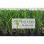 high  quality artificial  landscape  grass
