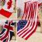 USA Flag and Dollars Fashion Design Bath Towel