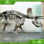 KAWAH Outdoor High Simulation Replica Real Dinosaur Bons for sale