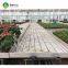 Agricultural medicine seeding growing ABS tray greenhouse rolling bench