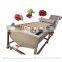 Small Home Type Carrot Cleaner Tomato Vegetable Washing Machine