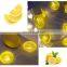decorative Led waterproof holiday curtain strip summer lemon Lights garden home indoor outdoor decoration fairy light