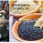 Organic marachekku gingelly oil at your door step