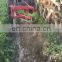 farming  mini tractor in pakistan
