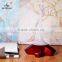 GX Diffuser Portable Home Nebulizer Essential Oil Diffuser