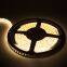 Waterproof Outdoor Swimming Pool Light Warm White LED Strip Light