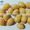 Hot Sale Best Quality Haaccp Certified Frozen Ginkgo Nut