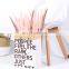 Wholesales Hot Sale Long Feather Phragmites Natural Flowers Dried Decorative White Pampas Grass Home Wedding Decoration