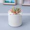 Flower Pots Mini Pottery Wholesale Bonsai Plant Small Indoor Plants Succulent Planter White Ceramic Pot