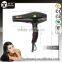 New Arrival Hair Blow Dryer Concentrator Nozzle Dryer DC Motor Hair Dryer