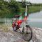 2014 new design 250W 350W electric bike e bike CE SGS EN15194(FJ-TDM09)