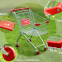 ﻿ 85 Litre Shopping Trolley