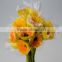 Fashion Champagne fresh cut gerbera with yellow color